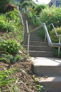 Parks &Amp; Hiking 4 Stairs