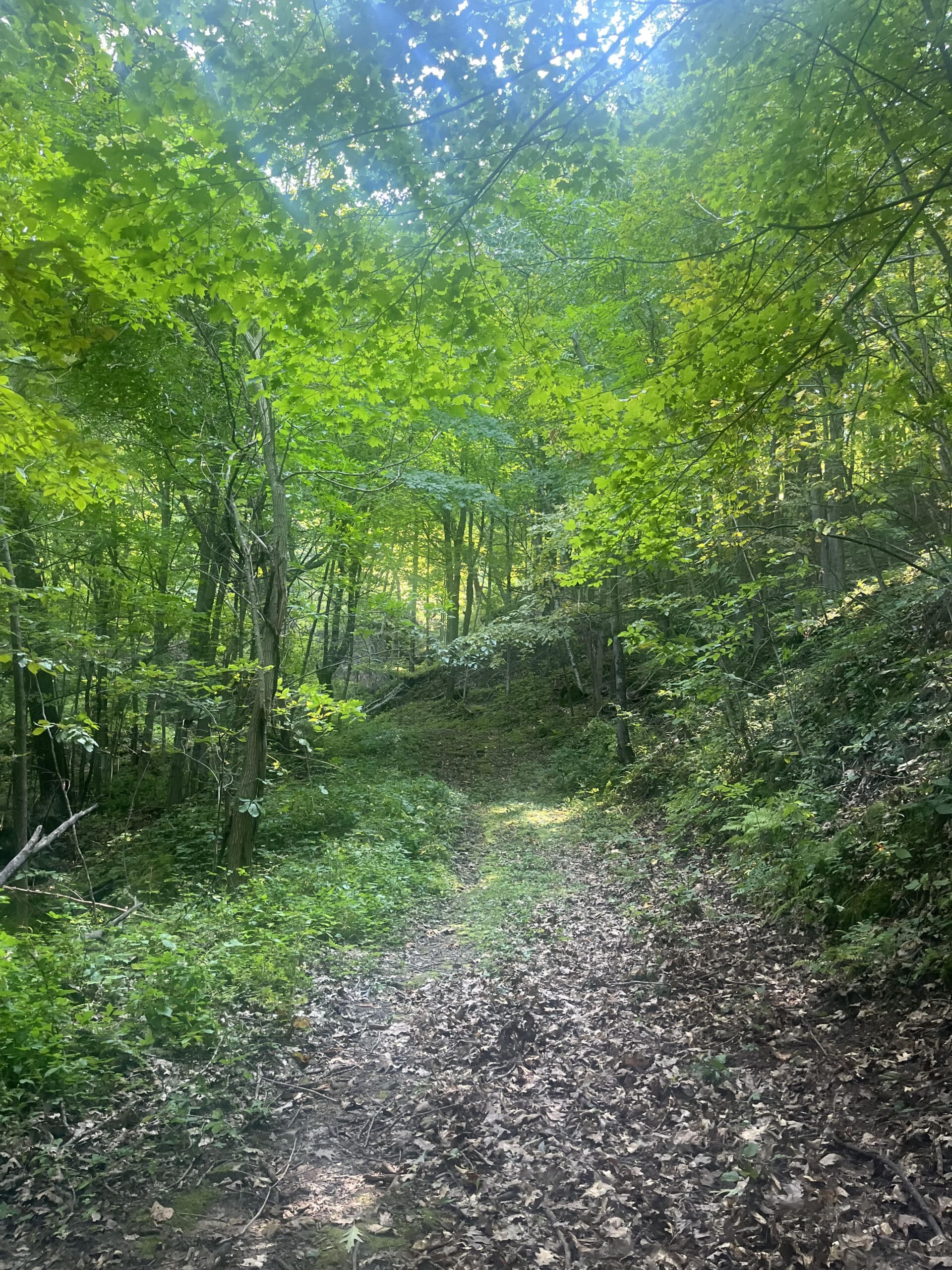 Parks &Amp; Hiking 5 Unnamed 9 Scaled